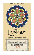 Dark Chocolate with Ginger, Bean to Bar