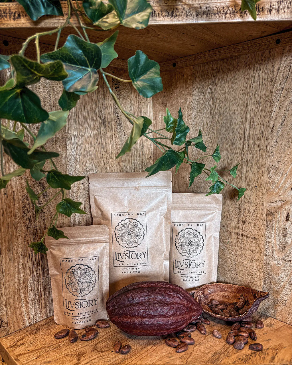 Roasted Cacao Beans Nicaragua