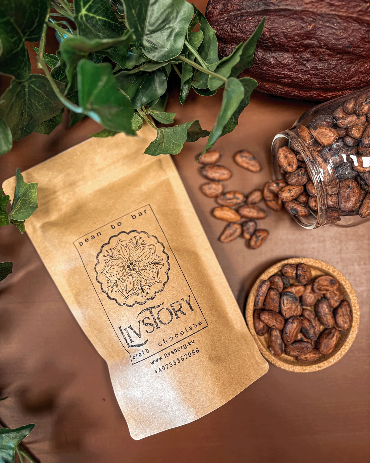 Roasted Cacao Beans Nicaragua