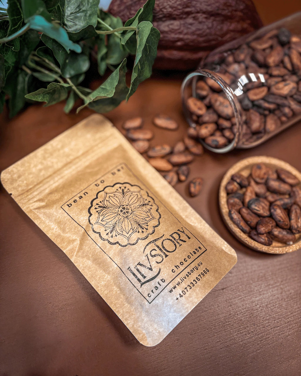 Roasted Cacao Beans Nicaragua